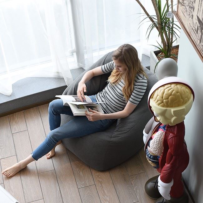 Adult Size Beanbag Chair factory
